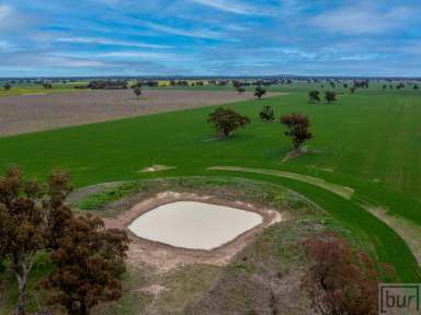 Farm For Sale - NSW - Rand - 2642 - “Quality Mixed farming country in popular Farming district”  (Image 2)