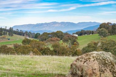 Farm Auction - VIC - Bruarong - 3749 - QUALITY PRODUCTIVE GRAZING PROPERTY IN A GREAT LOCATION
317.4*acres/ 128*Ha  (Image 2)