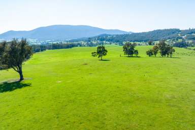 Farm For Sale - VIC - Bruarong - 3749 - QUALITY PRODUCTIVE GRAZING PROPERTY IN A GREAT LOCATION
317.4*acres/ 128*Ha  (Image 2)