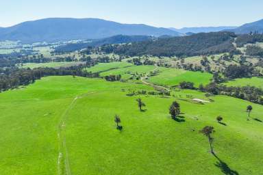 Farm For Sale - VIC - Bruarong - 3749 - QUALITY PRODUCTIVE GRAZING PROPERTY IN A GREAT LOCATION
317.4*acres/ 128*Ha  (Image 2)