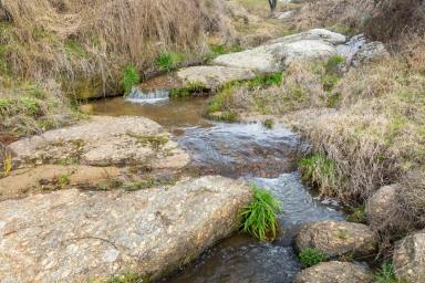 Farm Auction - VIC - Bruarong - 3749 - QUALITY PRODUCTIVE GRAZING PROPERTY IN A GREAT LOCATION
317.4*acres/ 128*Ha  (Image 2)