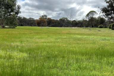 Farm Sold - WA - Woodanilling - 6316 - IDYLLIC LIFESTYLE BLOCKS - SOLD BY SUZIE PERRIN  (Image 2)