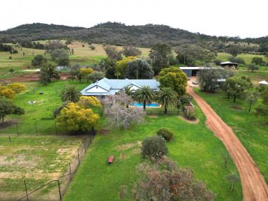 Farm For Sale - NSW - Curlewis - 2381 - Historic Homestead & Grazing  (Image 2)