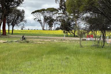 Farm For Sale - WA - Woodanilling - 6316 - ESCAPE TO THE COUNTRY - SOLD BY SUZIE PERRIN  (Image 2)