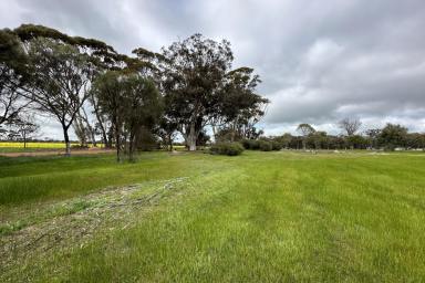 Farm For Sale - WA - Woodanilling - 6316 - ESCAPE TO THE COUNTRY - SOLD BY SUZIE PERRIN  (Image 2)