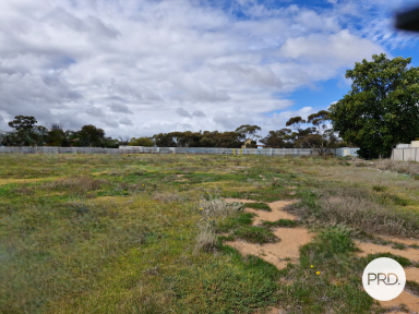 Farm For Sale - VIC - Walpeup - 3507 - Blank Canvas on Approx. 1 Acre  (Image 2)