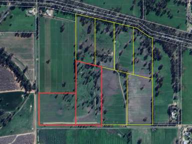 Farm For Sale - VIC - Koondrook - 3580 - Large Rural Investment or Lifestyle block  (Image 2)