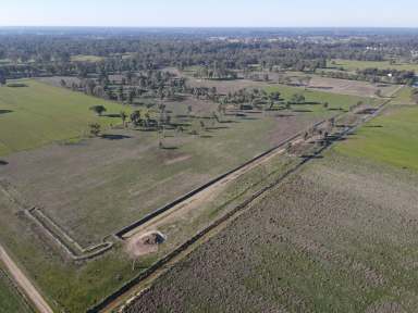 Farm For Sale - VIC - Koondrook - 3580 - Large Rural Investment or Lifestyle block  (Image 2)