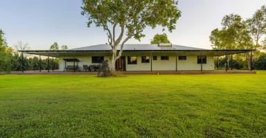 Farm For Sale - WA - Kununurra - 6743 - Stop looking… the perfect property does exist!  (Image 2)