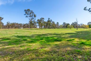 Farm For Sale - NSW - Ebenezer - 2756 - "Woolaringa Farm"  (Image 2)