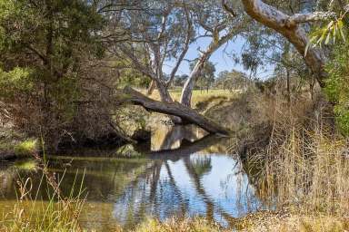 Farm For Sale - VIC - Batesford - 3213 - "Moorabool" - on the Moorabool River  (Image 2)