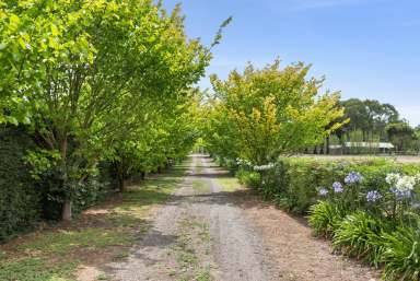 Farm For Sale - VIC - Batesford - 3213 - "Moorabool" - on the Moorabool River  (Image 2)