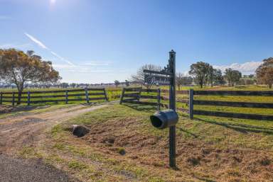 Farm For Sale - NSW - Tamworth - 2340 - POTENTIAL PLUS IN A GREAT LOCATION  (Image 2)