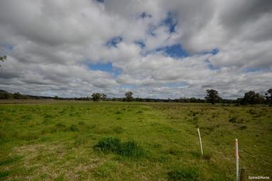 Farm For Sale - NSW - Quirindi - 2343 - FIND YOUR TREE CHANGE  (Image 2)