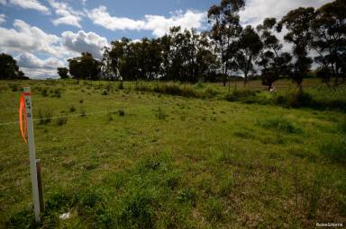 Farm For Sale - NSW - Quirindi - 2343 - FIND YOUR TREE CHANGE  (Image 2)