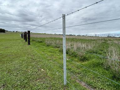 Farm For Sale - SA - Naracoorte - 5271 - Ready To Go Grazing  (Image 2)