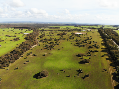 Farm For Sale - SA - Cassini - 5223 - Idyllic Rural Lifestyle Awaits  (Image 2)