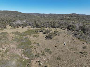 Farm For Sale - NSW - Dundee - 2370 - Lifestyle property just 18 km from Glen Innes.  (Image 2)