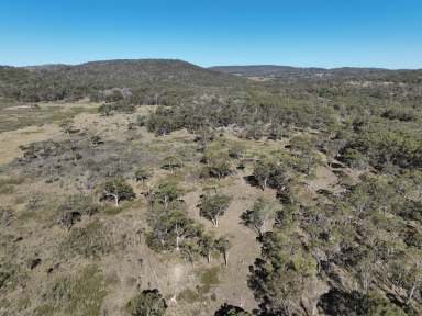 Farm For Sale - NSW - Dundee - 2370 - Lifestyle property just 18 km from Glen Innes.  (Image 2)