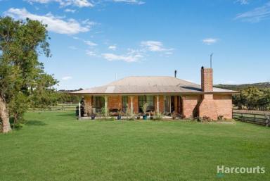 Farm For Sale - VIC - Pakenham - 3810 - Developers Dream!  (Image 2)