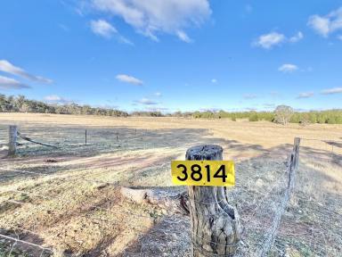 Farm For Sale - NSW - Windellama - 2580 - Rural 200 Acre Property with Dwelling Entitlement, Build Your Dream Farm House, Grazin g and Lifestyle, Road Front, Power, Dams  (Image 2)