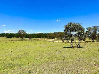 Farm For Sale - NSW - Windellama - 2580 - 200 Acres with Dwelling Entitlement To Build, Lifestyle Property with Grazing, Mostly level, Road Front, Power & Dams. Just Beautiful.  (Image 2)