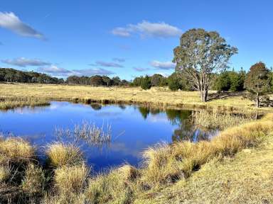 Farm For Sale - NSW - Windellama - 2580 - 200 Acres with Dwelling Entitlement To Build, Lifestyle Property with Grazing, Mostly level, Road Front, Power & Dams. Just Beautiful.  (Image 2)