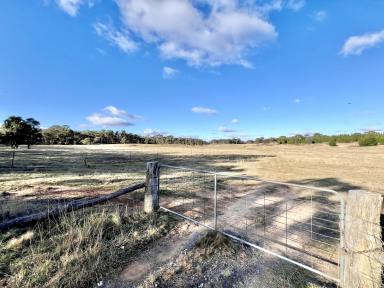 Farm For Sale - NSW - Windellama - 2580 - Rural 200 Acre Property with Dwelling Entitlement, Build Your Dream Farm House, Grazin g and Lifestyle, Road Front, Power, Dams  (Image 2)