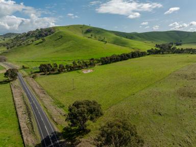 Farm Auction - NSW - Gundagai - 2722 - Murrumbidgee Valley hill grazing at Gundagai  (Image 2)