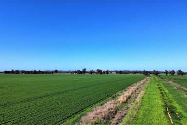 Farm For Sale - NSW - Forbes - 2871 - Untapped Production and Lifestyle Property close to Forbes
Price Drop  (Image 2)