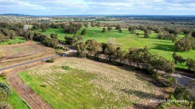 Farm For Sale - WA - Gingin - 6503 - Prime 2.49 acres with picturesque views, in Marchmont Estate Gingin!  (Image 2)