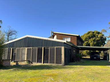 Farm For Sale - TAS - Bridport - 7262 - Make your rural dream home a reality - only 10 minutes from Bridport  (Image 2)