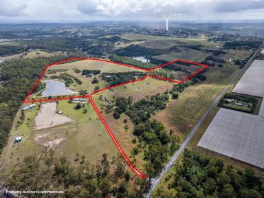 Farm For Sale - QLD - South Isis - 4660 - "ROSEHILL" (ORCHARD ONLY)  (Image 2)