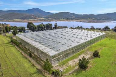 Farm For Sale - TAS - Granton - 7030 - The Perfect Blend of Luxury Living and Income  (Image 2)