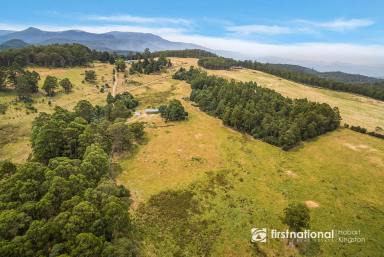 Farm For Sale - TAS - Sandfly - 7150 - Charming Rural Retreat on 25 Acres of Bushland and Pasture  (Image 2)