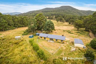 Farm For Sale - TAS - Sandfly - 7150 - Charming Rural Retreat on 25 Acres of Bushland and Pasture  (Image 2)