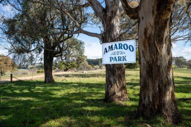 Farm Auction - NSW - Bathurst - 2795 - "Amaroo Park" - Your Productive Small Farm in a Picturesque Setting  (Image 2)