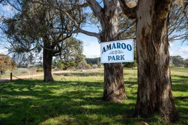 Farm Sold - NSW - Bathurst - 2795 - "Amaroo Park" - Your Productive Small Farm in a Picturesque Setting  (Image 2)