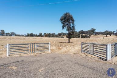 Farm For Sale - NSW - Boorowa - 2586 - Large Vacant Lot- Quiet Village Lifestyle  (Image 2)