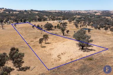 Farm For Sale - NSW - Boorowa - 2586 - Large Vacant Lot- Quiet Village Lifestyle  (Image 2)