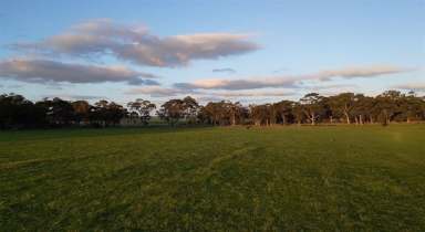 Farm For Sale - VIC - Carisbrook - 3464 - SUBDIVIDE OR BUILD YOUR DREAM HOME IN CHARMING CARISBROOK! STCA  (Image 2)