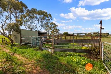 Farm For Sale - SA - Moonta - 5558 - Land on 10.49 hectares  (Image 2)