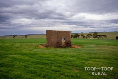 Farm For Sale - SA - Emu Downs - 5381 - Mid-North Opportunity  (Image 2)