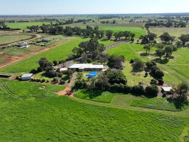 Farm Auction - NSW - Terramungamine - 2830 - Immaculate Rural Lifestyle Property  (Image 2)