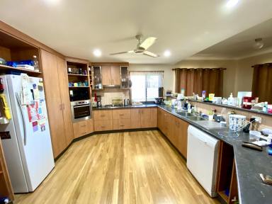 Farm For Sale - QLD - Ayr - 4807 - 4 Bedroom Block Home - on 5474m2 Lot - Edge of Town  (Image 2)