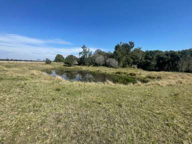 Farm For Sale - NSW - Tatham - 2471 - EXPRESSION OF INTEREST - LIVESTOCK / CROPPING - 102 ACRES TATHAM  (Image 2)