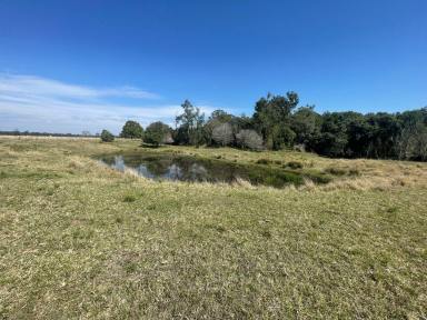 Farm Auction - NSW - Tatham - 2471 - LIVESTOCK / CROPPING - 102 ACRES TATHAM  (Image 2)