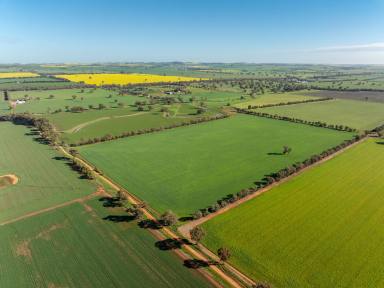 Farm Auction - NSW - Wagga Wagga - 2650 - A Premier Rural Lifestyle at Yathella  (Image 2)