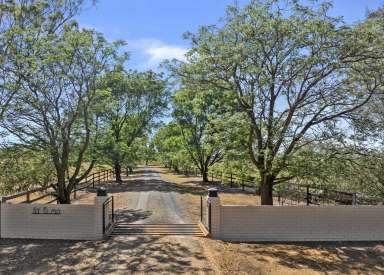 Farm For Sale - NSW - Wagga Wagga - 2650 - Premier Rural Lifestyle at St Elmo  (Image 2)