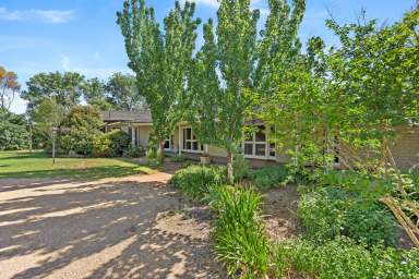 Farm For Sale - NSW - Wagga Wagga - 2650 - Premier Rural Lifestyle at St Elmo  (Image 2)